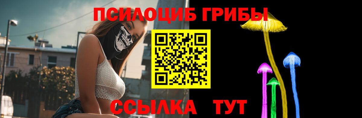 Ульяновск  Галлюциногенные грибы прущие грибы  Вход с VPN  Псилоцибиновые грибы MAGIC MUSHROOMS 